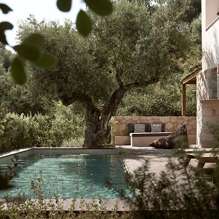 Zayn Luxury Villas, A Serene Escape, By Thinkvilla Planos Exterior foto
